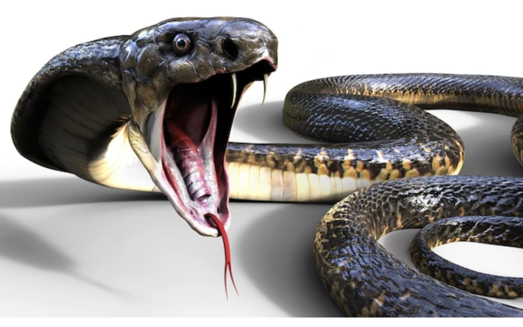 L’attacco del serpente (Geremia&nbsp;8)